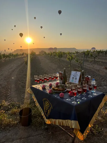 Göreme Balloon Tour (Comfort Class)
